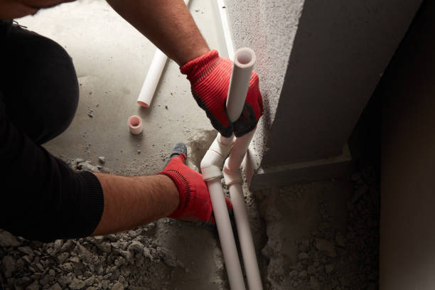 Best Clogged Drain Plumber  in Cambria, IL