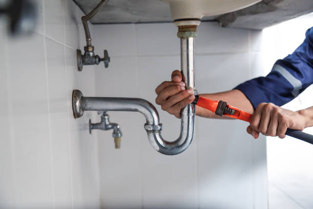 Best Leak Detection Services  in Cambria, IL
